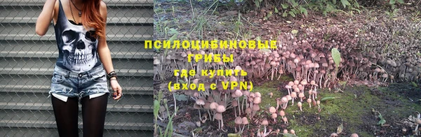 марки nbome Алзамай