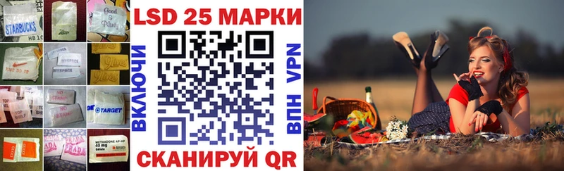 купить наркоту  Аргун  Лсд 25 экстази кислота 